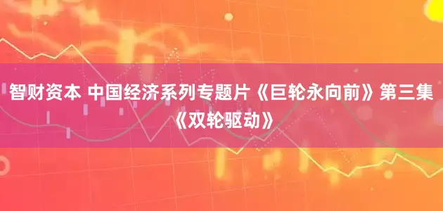 智财资本 中国经济系列专题片《巨轮永向前》第三集《双轮驱动》