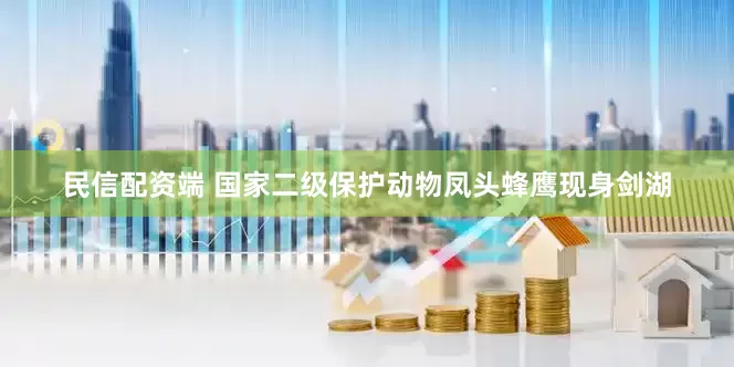 民信配资端 国家二级保护动物凤头蜂鹰现身剑湖