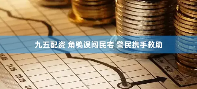 九五配资 角鸮误闯民宅 警民携手救助