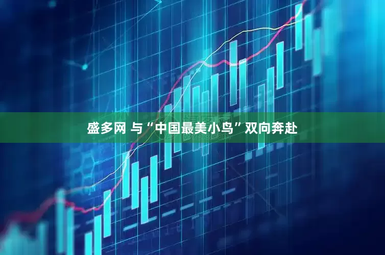 盛多网 与“中国最美小鸟”双向奔赴