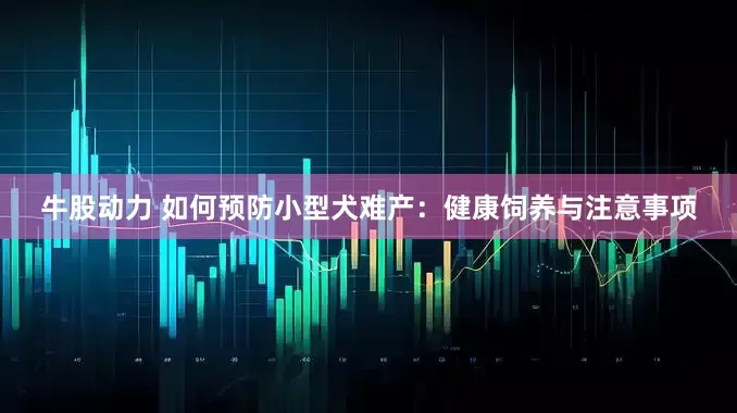 牛股动力 如何预防小型犬难产：健康饲养与注意事项