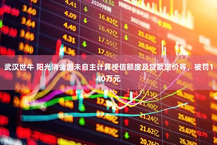 武汉世牛 阳光消金因未自主计算授信额度及贷款定价等，被罚140万元